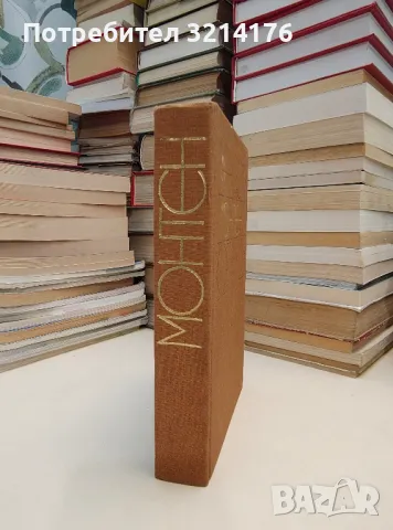 Опити. Том 2-3 - Мишел дьо Монтен, снимка 2 - Специализирана литература - 47239089