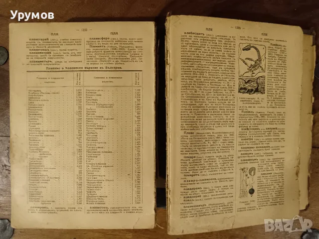 Българска енциклопедия - Братя Данчови. Първо издание - 1936 г. , снимка 5 - Енциклопедии, справочници - 49685152