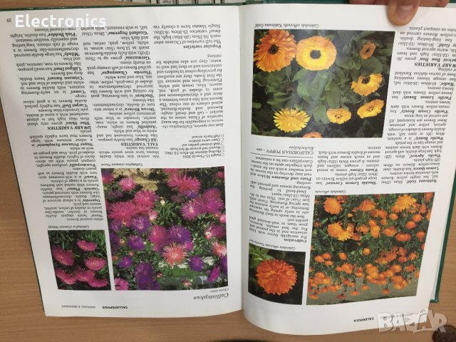 Енциклопедия A-Z of Annuals, Biennials & Bulbs (Successful Gardening), снимка 3 - Енциклопедии, справочници - 30873162