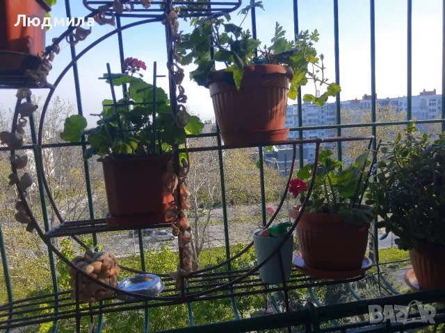 Цветарник,ковано желязо на няколко нива,грундиран и боядисан , снимка 6 - Градински мебели, декорация  - 50096264