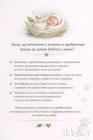 БЛУ КЛИЙН - професионално екологично почистване - ТОП ЦЕНИ, снимка 4 - Други услуги - 53911704