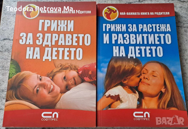 НАЙ ВАЖНАТА КНИГА ЗА РОДИТЕЛИ , снимка 1 - Художествена литература - 44775044