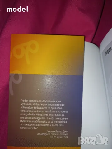 Целебни песни - Лидия Линдрова, снимка 2 - Други - 49062262