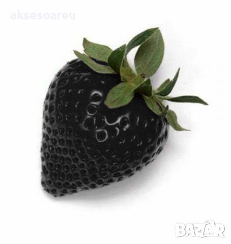 200 семена от плод черна ягода черни ягоди органични плодови ягодови семена от вкусни ягоди отлични , снимка 16 - Сортови семена и луковици - 37706890