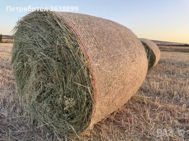 Рулонни бали люцерна,ливадно сено,овес,просо!, снимка 5 - За селскостопански - 50854833