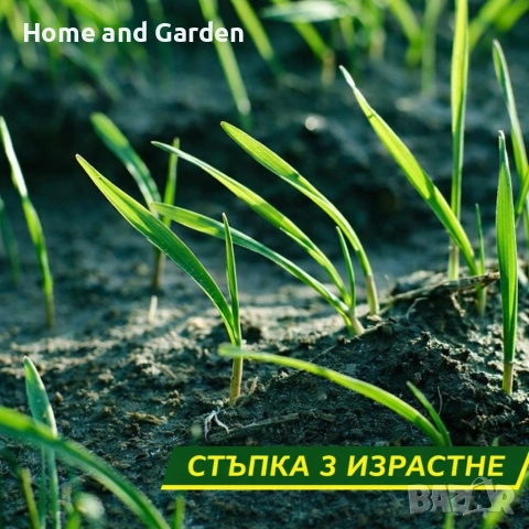 Подложка с тревни семена – биоразградима, лесен монтаж, снимка 6 - Разсади - 53947684