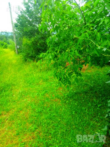 Продавам парцел в село Краево област София , снимка 9 - Парцели - 39292181