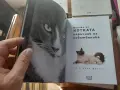 Всичко за котката, снимка 4