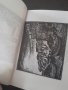 Веселин Стайков - Книга с 39 хромолитографии с чисти гърбове, снимка 1 - Художествена литература - 44448261