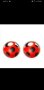 Ladybug - Калинката и Черният Котарак обеци, играчки 25cm, балони, стикери, чанта и гривни, снимка 1 - Плюшени играчки - 37364515
