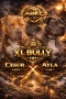 XL American Bully с родословие и сертификат, снимка 1