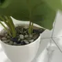 Изкуствено растение Cozevdnt в саксия ново, зелено, снимка 7