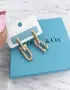 Tiffany & Co медицинска стомана обеци, снимка 2