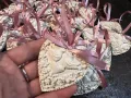 Подаръчета за гости Подаръци за Сватба /Кръщене  Малки подаръчета Сърце Гипсови фигурки за закачане , снимка 4