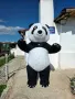 🎉ИЗНЕНАДА с Мече Панда в гр. Бургас!🐼🐾, снимка 5
