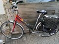 продавам голямо колело норта, снимка 1 - Велосипеди - 33703652