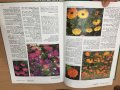 Енциклопедия A-Z of Annuals, Biennials & Bulbs (Successful Gardening), снимка 3