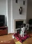🐾 НАЙДЕН ТЪРСИ СВОЯ ЧОВЕК! , снимка 3