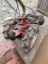 Соц Стар Бензинов Четиритактов Мотофреза Мотокултиватор Комплект С Моторна Фреза. НОМЕР 1324., снимка 7