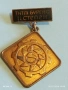 Значка награда от соца ИНИЦИАТИВА за ТЕХНИЧЕСКО и НАУЧНО ТВОРЧЕСТВО на МЛАДЕЖТА 52826, снимка 4