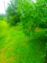 Продавам парцел в село Краево област София , снимка 9