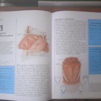 Детска енциклопедия "Знание" : Човешкото тяло, снимка 4 - Детски книжки - 42135338