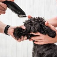 Безжична машинка за подстригване на кучета и котки, снимка 2 - За кучета - 33767700