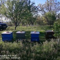Продавам пчелни отвотки 2024, снимка 5 - За пчели - 44465406
