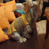 Плетени дрешки за кучета М размер, снимка 8 - За кучета - 44590339