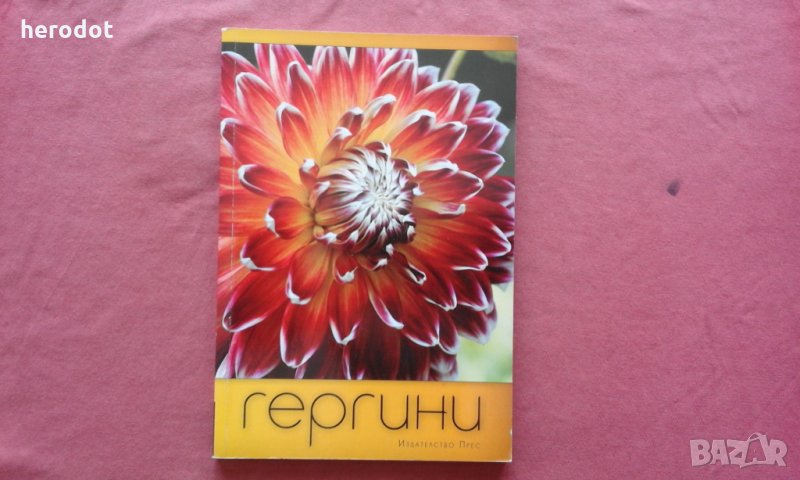 Гергини - Емилия Лисичкова, снимка 1