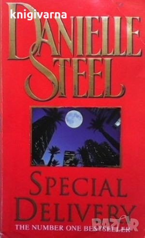 Special Delivery Danielle Steel, снимка 1