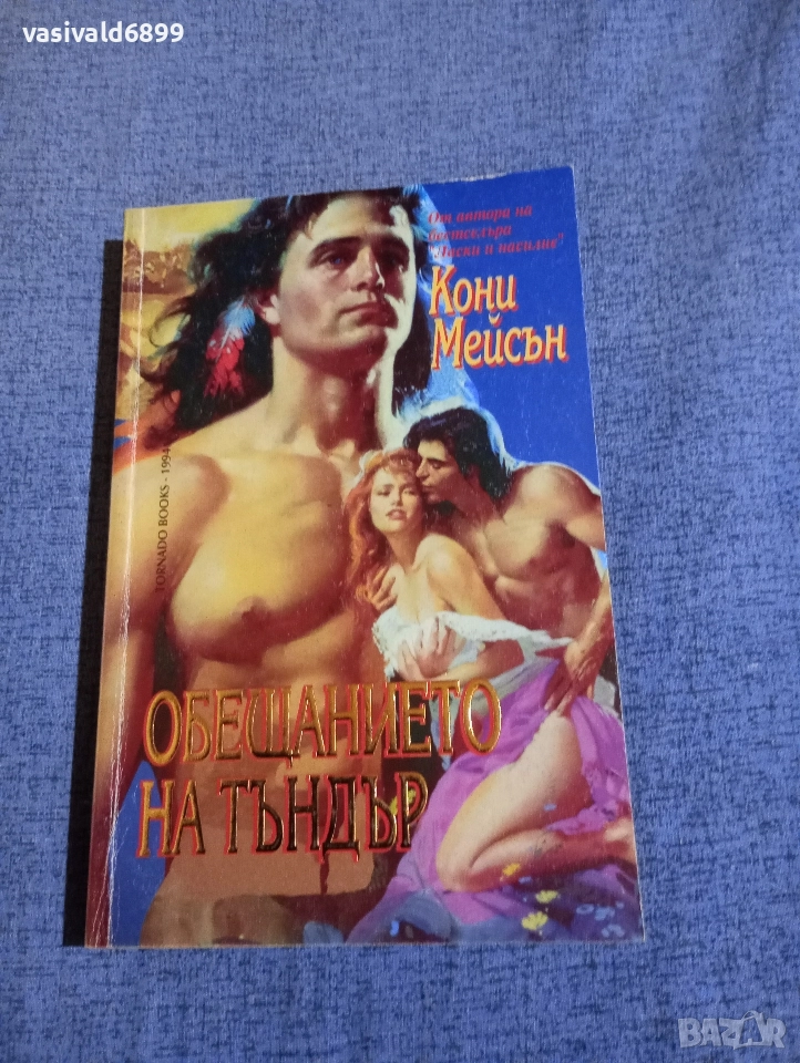 Кони Мейсън - Обещанието на Тъндър , снимка 1