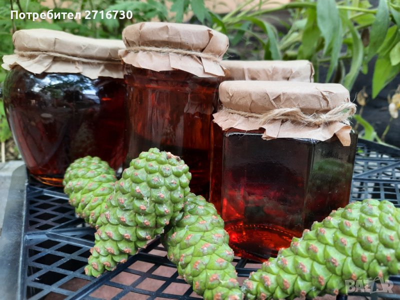 Боров мед от борови връхчета и шишарки, снимка 1