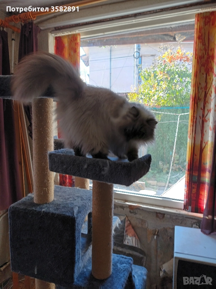 Наталия, снимка 1