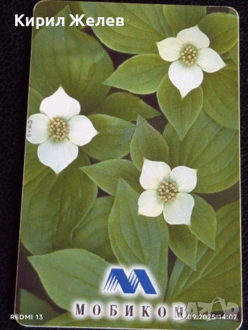 Две фонокарти МОБИКА, БЕТКОМ тема ЦВЕТЯ ОРХИДЕИ за КОЛЕКЦИЯ ДЕКОРАЦИЯ 38849, снимка 6 - Колекции - 51678577