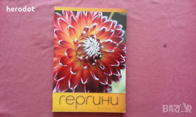 Гергини - Емилия Лисичкова, снимка 1