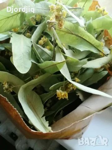 Сушен липов цвят, снимка 2 - Други - 50828964