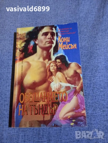 Кони Мейсън - Обещанието на Тъндър 