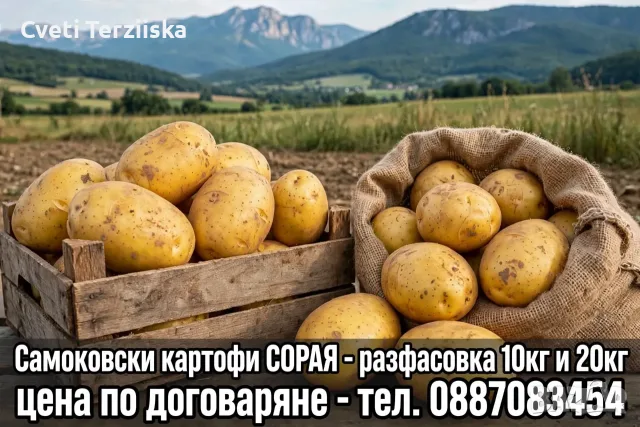Продавам картофи