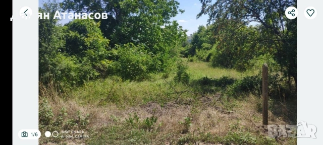 Продавам парцел в Разград, местност Малкия Хълм, снимка 5 - Парцели - 44003854