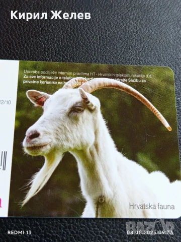 Фонокарта ХЪРВАТИЯ ФЛОРА много красива за КОЛЕКЦИЯ ДЕКОРАЦИЯ 50077, снимка 2 - Колекции - 51293967