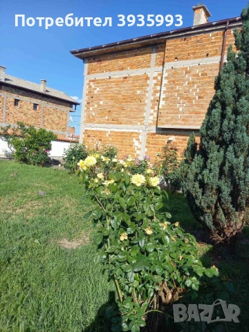 Продавам КЪЩА в с.Боянци, общ. Асеновград, обл. Пловдив, снимка 18 - Къщи - 53092809