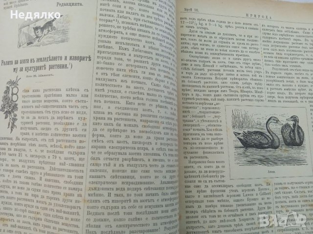 Списание Природа,1896г,печати, снимка 9 - Антикварни и старинни предмети - 37780277