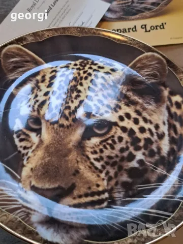 декоративна порцеланова чиния леопард Royal Doulton    15/2, снимка 3 - Антикварни и старинни предмети - 48204442