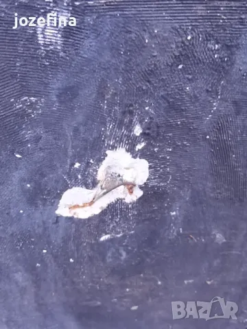 Уникална Релефна Картина „Богинята Диана“ – Изящно Декоративно Произведение, снимка 5 - Картини - 50354512