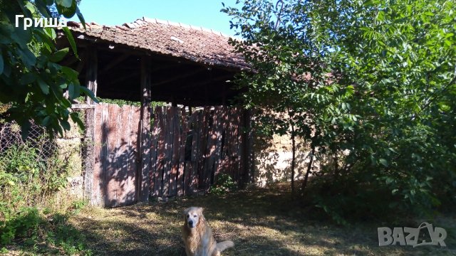 Продавам дворно място 1800м2 в с. Островче, снимка 6 - Парцели - 37517139