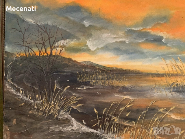 ПЕТЪР СЪЧАНОВ масло/пейзаж, снимка 4 - Картини - 53124040