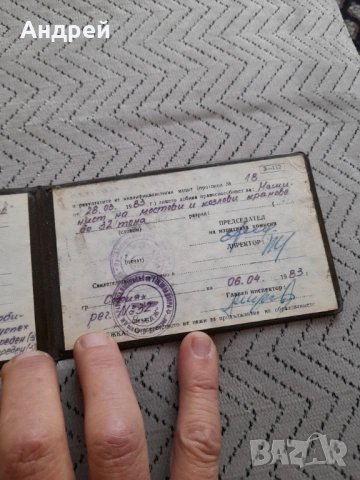 Старо свидетелство за правоспособност, снимка 4 - Колекции - 53368415