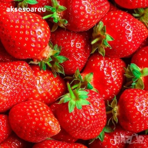 100 бр. семена от гигантска ягода градинско плодово растение сладки и вкусни червени отлични ягоди , снимка 12 - Сортови семена и луковици - 50619358