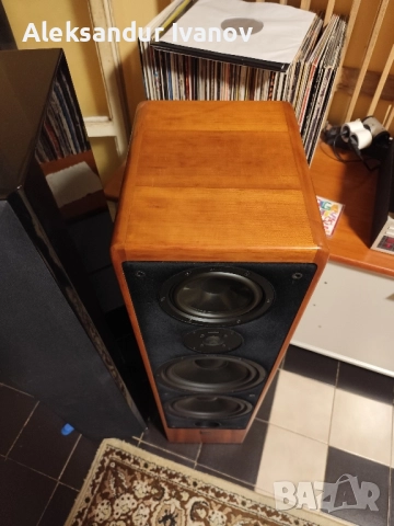 Canton Ergo SC-L (cherry), снимка 13 - Тонколони - 52642387